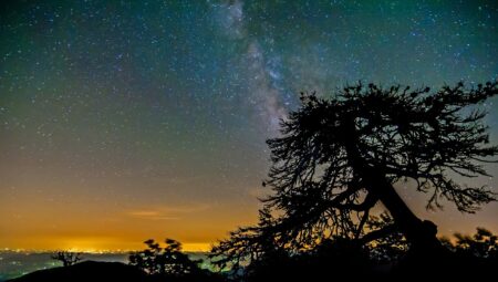 The Milky Way: A Celestial Symphony of Stars